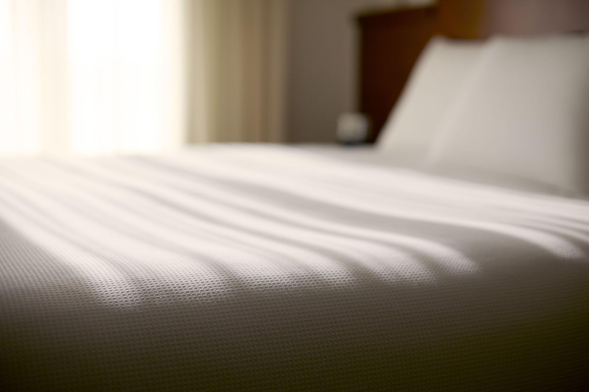 ไฮแอท เพลซ โลสกาโบส Hotel ซานโฮเซ เดล กาโบ ภายนอก รูปภาพ